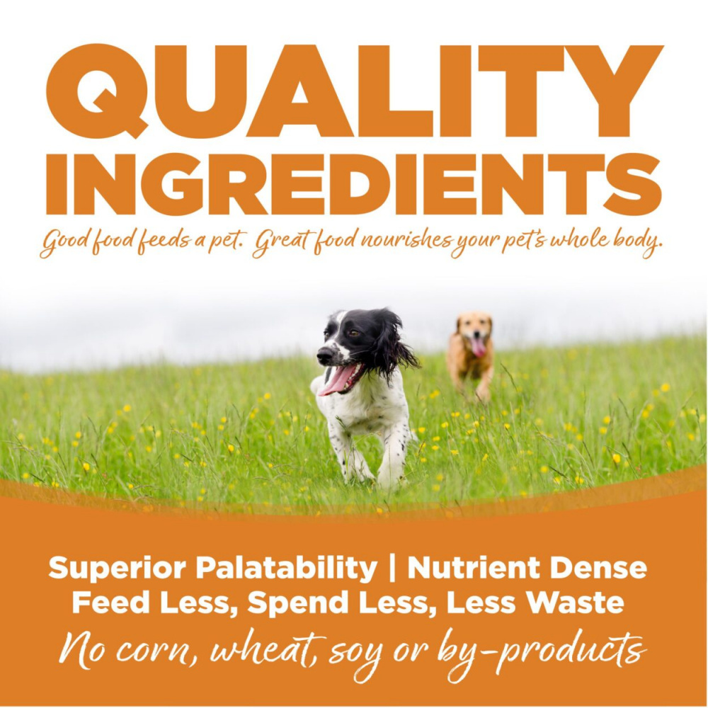 NutriSource Lamb Meal & Rice Dry Dog Food