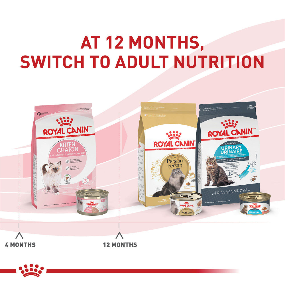 Royal Canin Feline Health Nutrition Kitten Dry Kitten Food