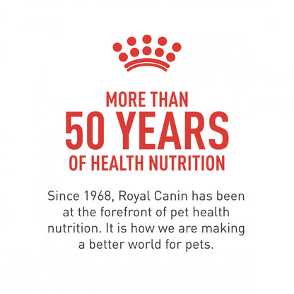 Royal Canin Breed Health Nutrition Shih Tzu Adult Dry Dog Food