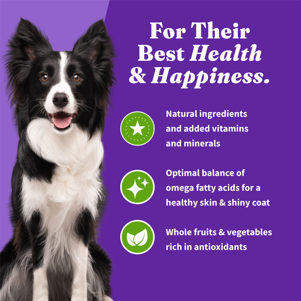 Halo Holistic Adult Dog Vegan Plant-Based Recipe with Superfoods Dry Dog Food