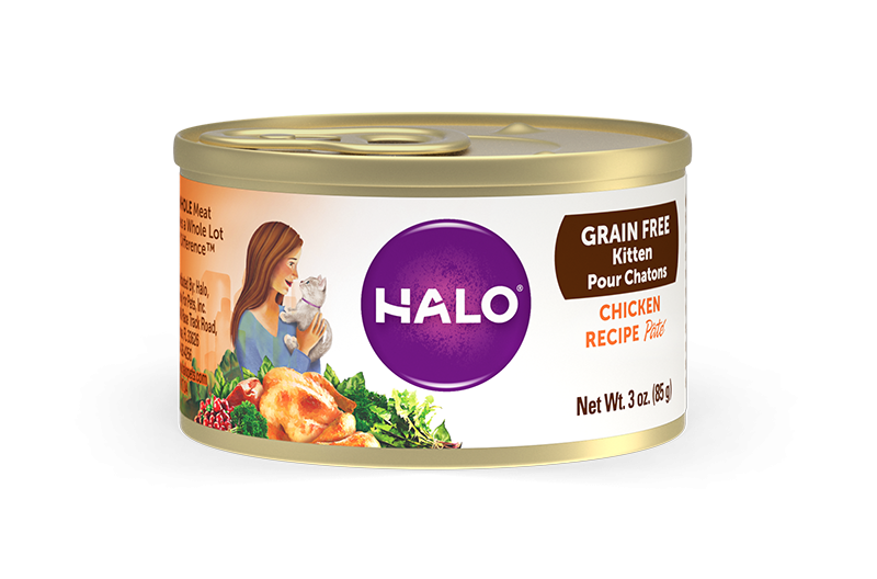 Halo Kitten Grain Free Chicken Recipe Pate Canned Cat Food